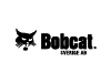 Bobcat